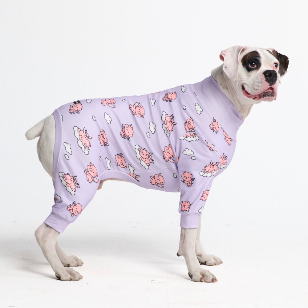 Dog Pajama - When Pigs Fly