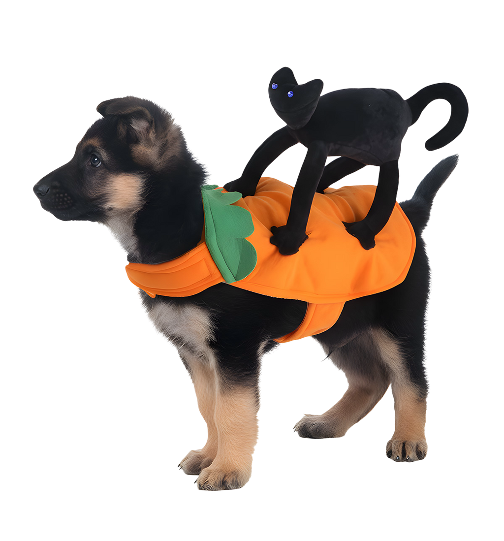 Trix-Halloween Pet Suit