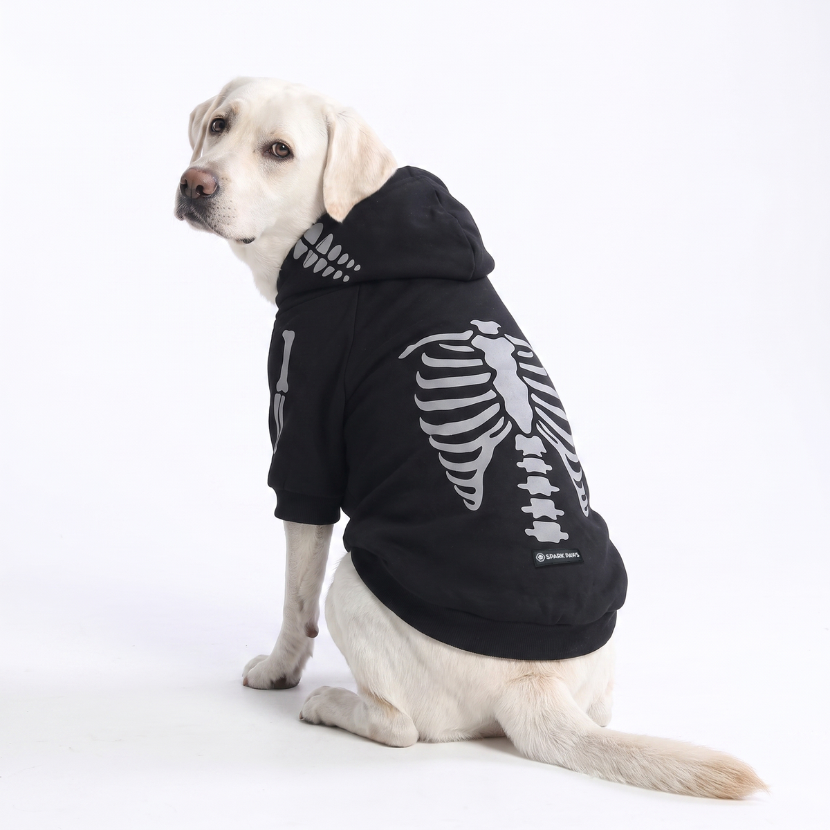 Halloween Dog Hoodie - Reflective Skeleton