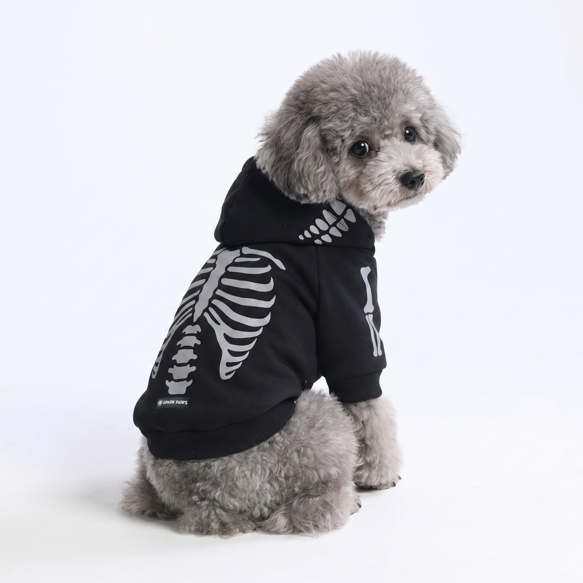 Halloween Dog Hoodie - Reflective Skeleton