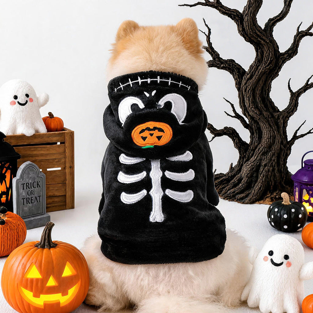 Halloween Skull Pumpkin Dog Cat Hoodie