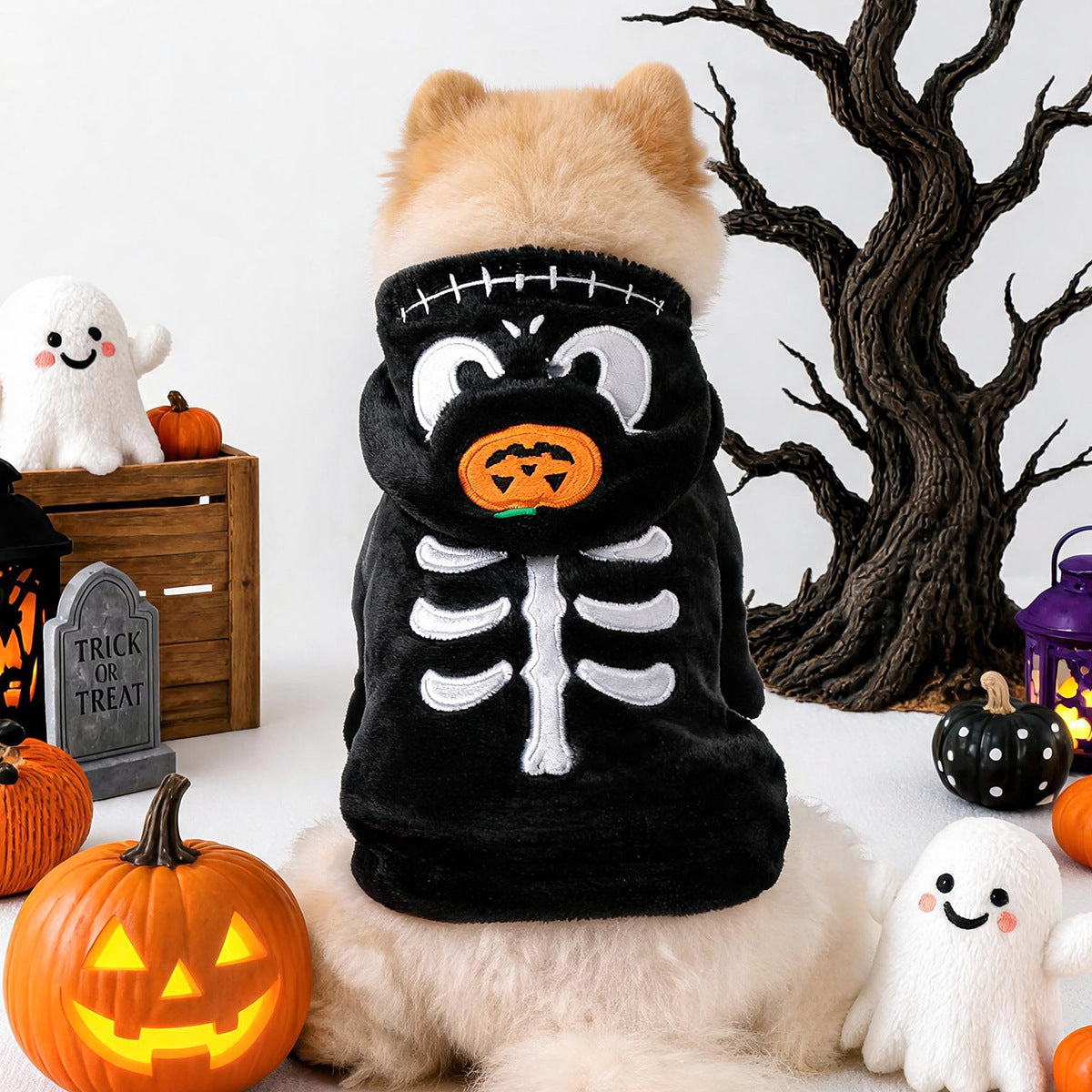 Halloween Skull Pumpkin Dog Cat Hoodie