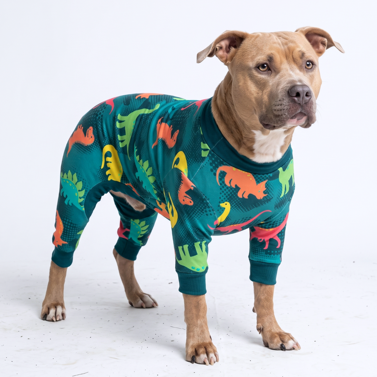 Dog Pajama - Dinosaurs