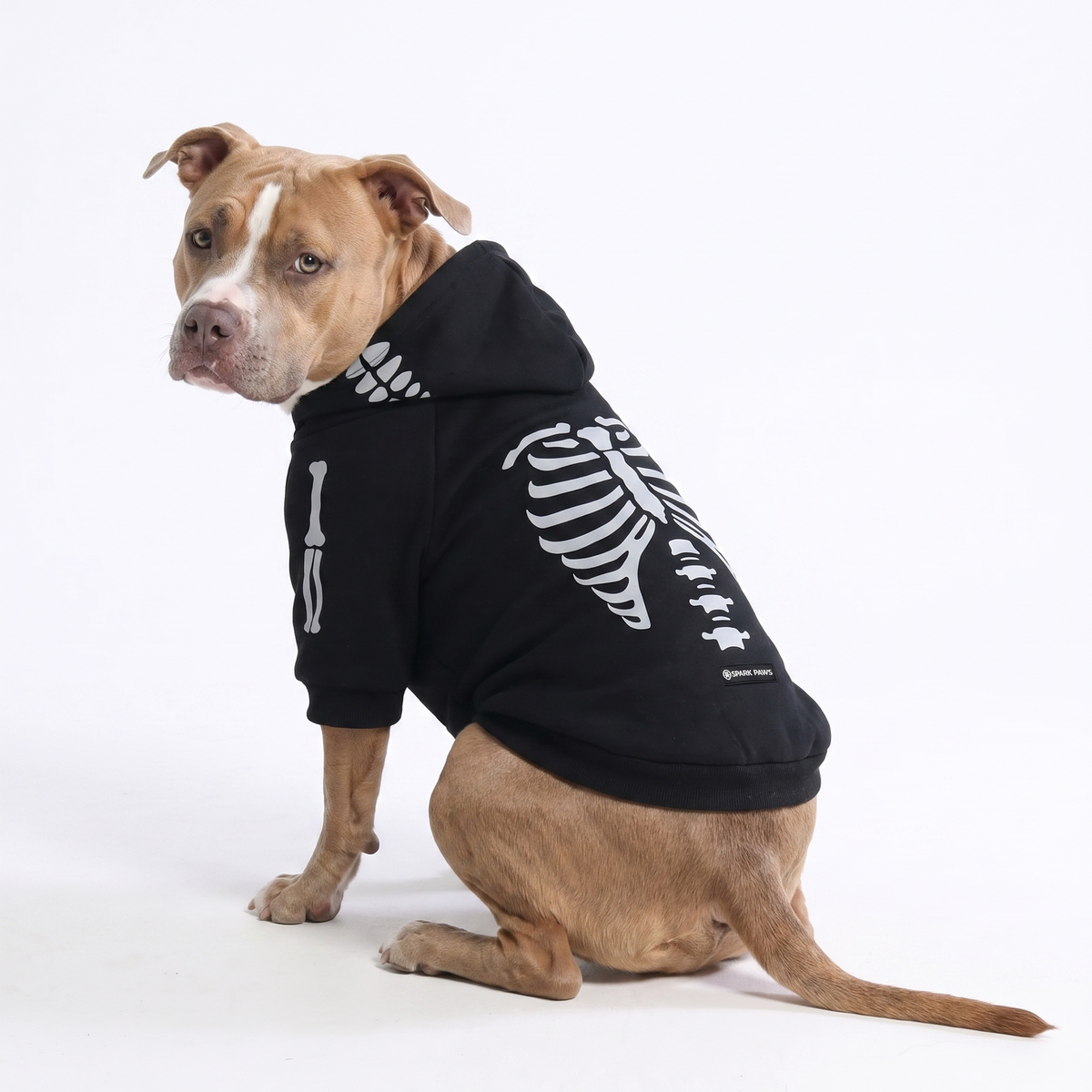Halloween Dog Hoodie - Reflective Skeleton