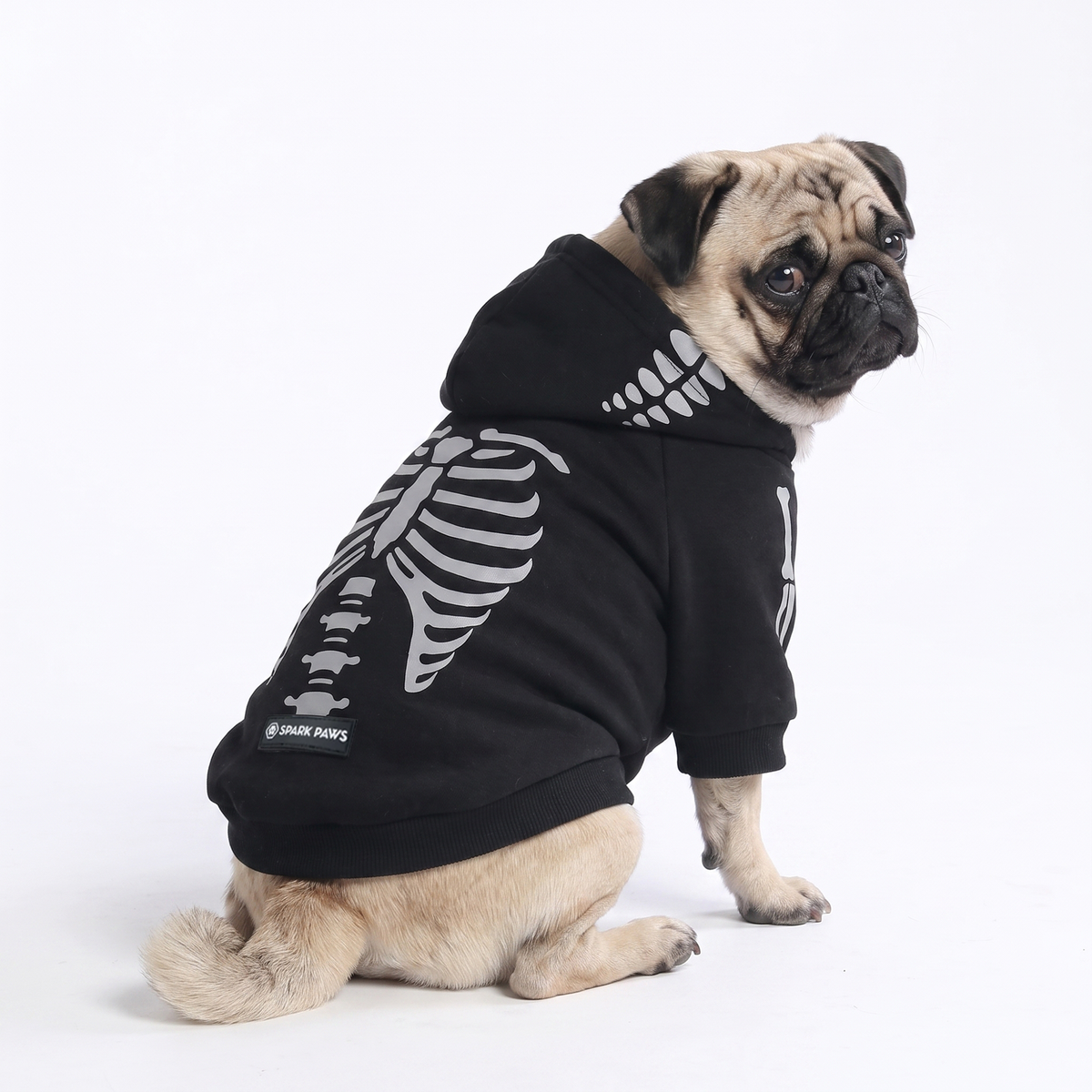 Halloween Dog Hoodie - Reflective Skeleton