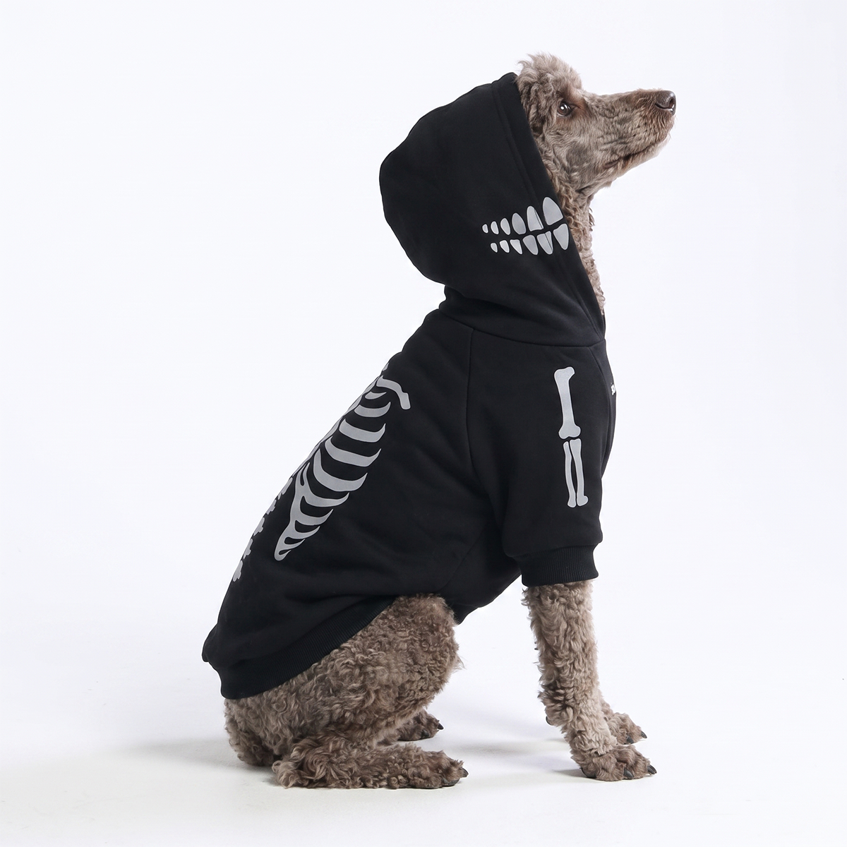 Halloween Dog Hoodie - Reflective Skeleton