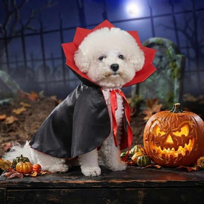 Halloween Pet Vampire Cape Costume